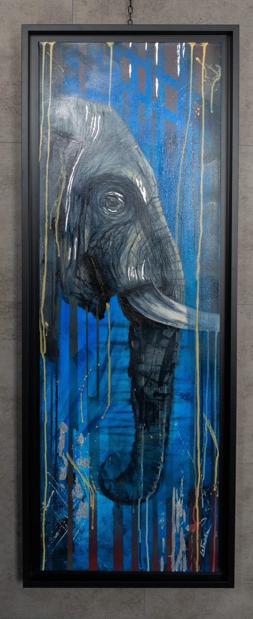 Regard éléphant