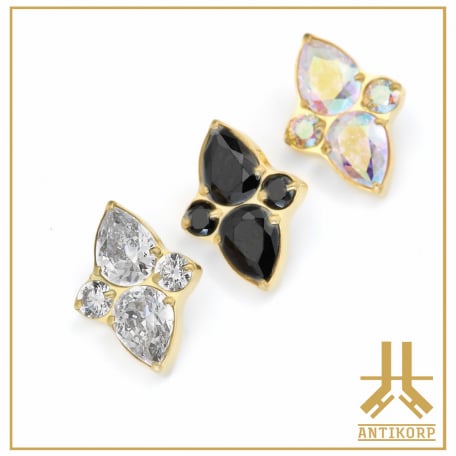 Labret Titane Gold Stérile Quad Abalone Interne | Antikorp