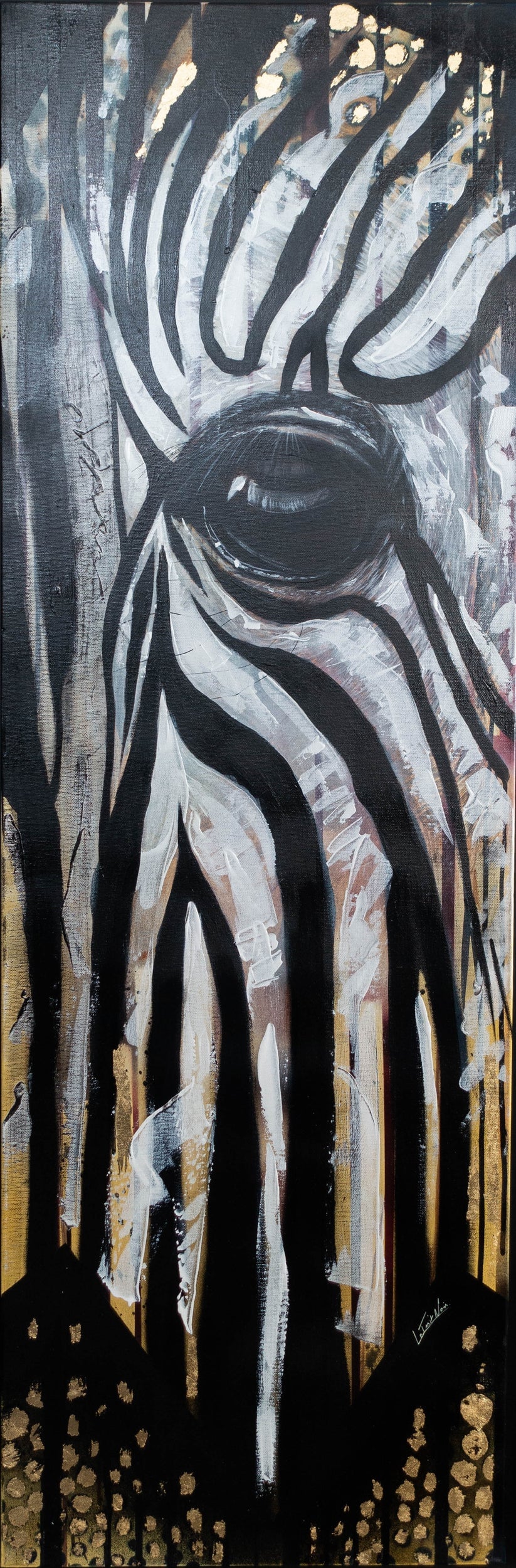 Regard zèbre – photo 2