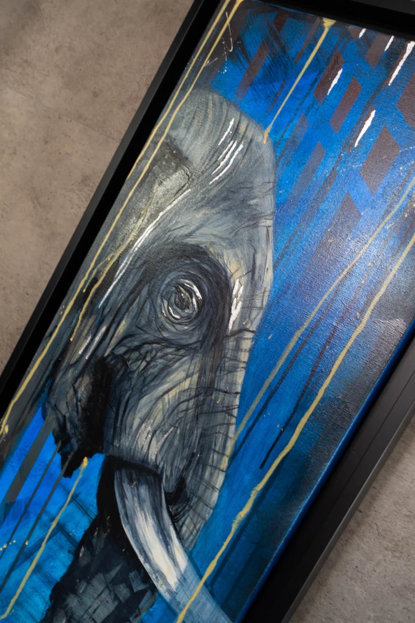 Regard éléphant – photo 3
