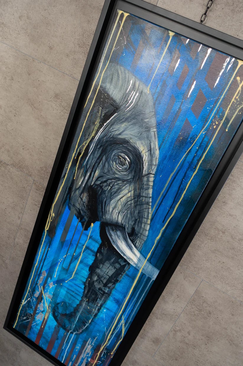 Regard éléphant – photo 5