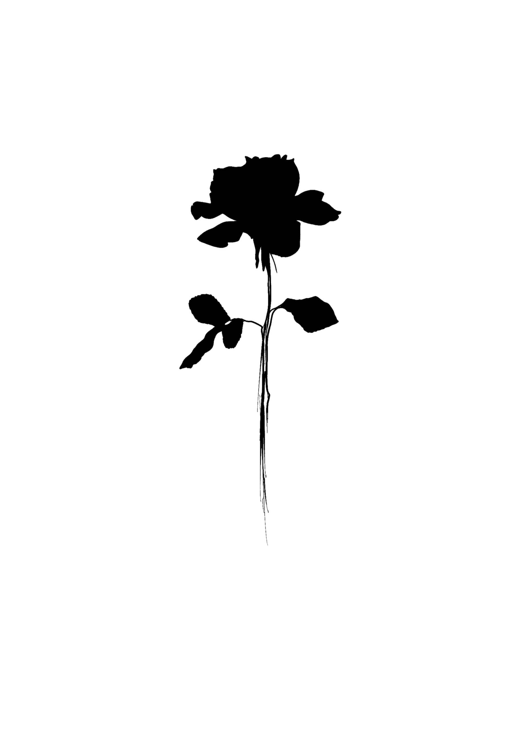 Tatouage flash floral à Villecresnes – dessin original Le Trait Noir