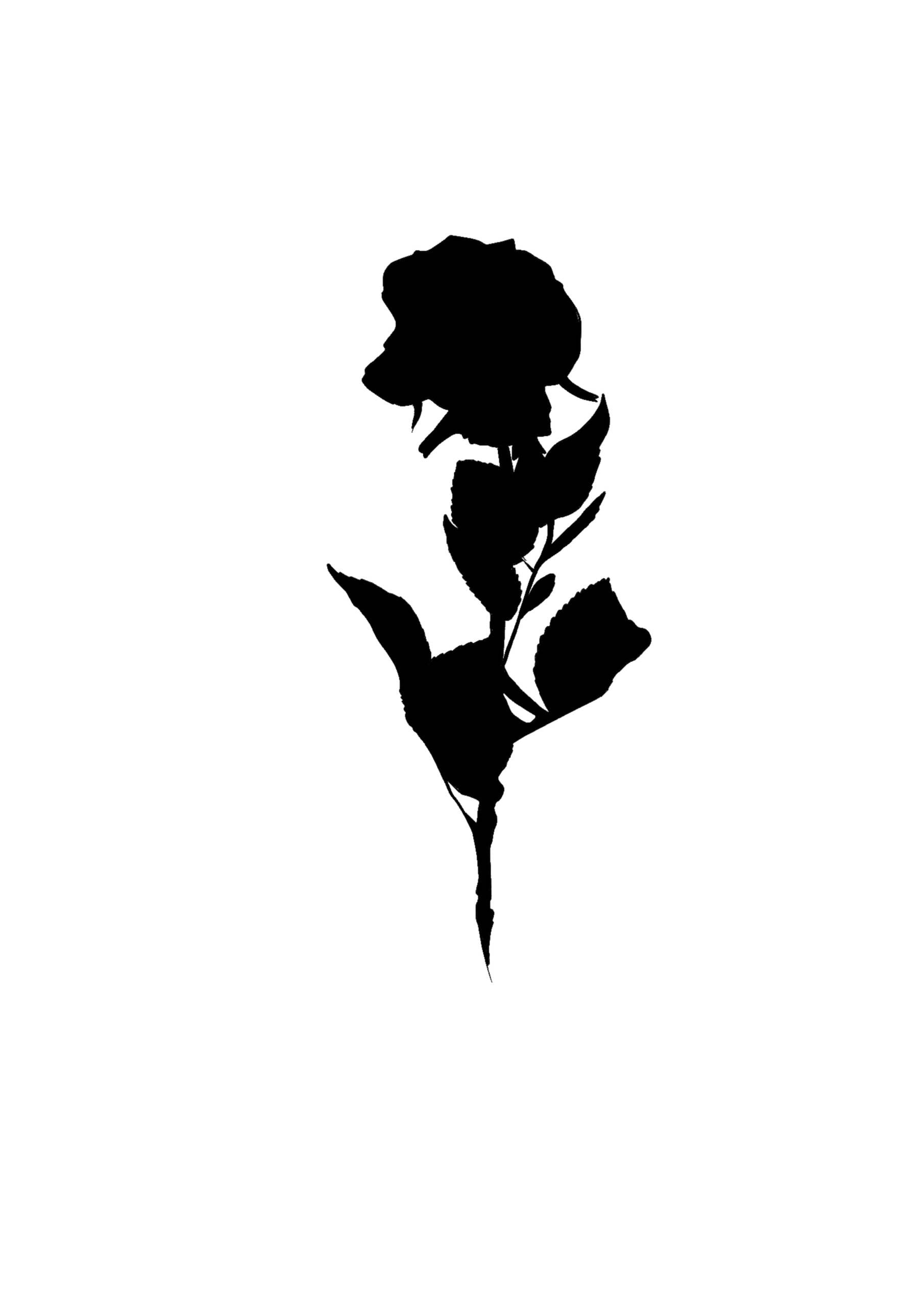 Tatouage flash floral à Villecresnes – dessin original Le Trait Noir