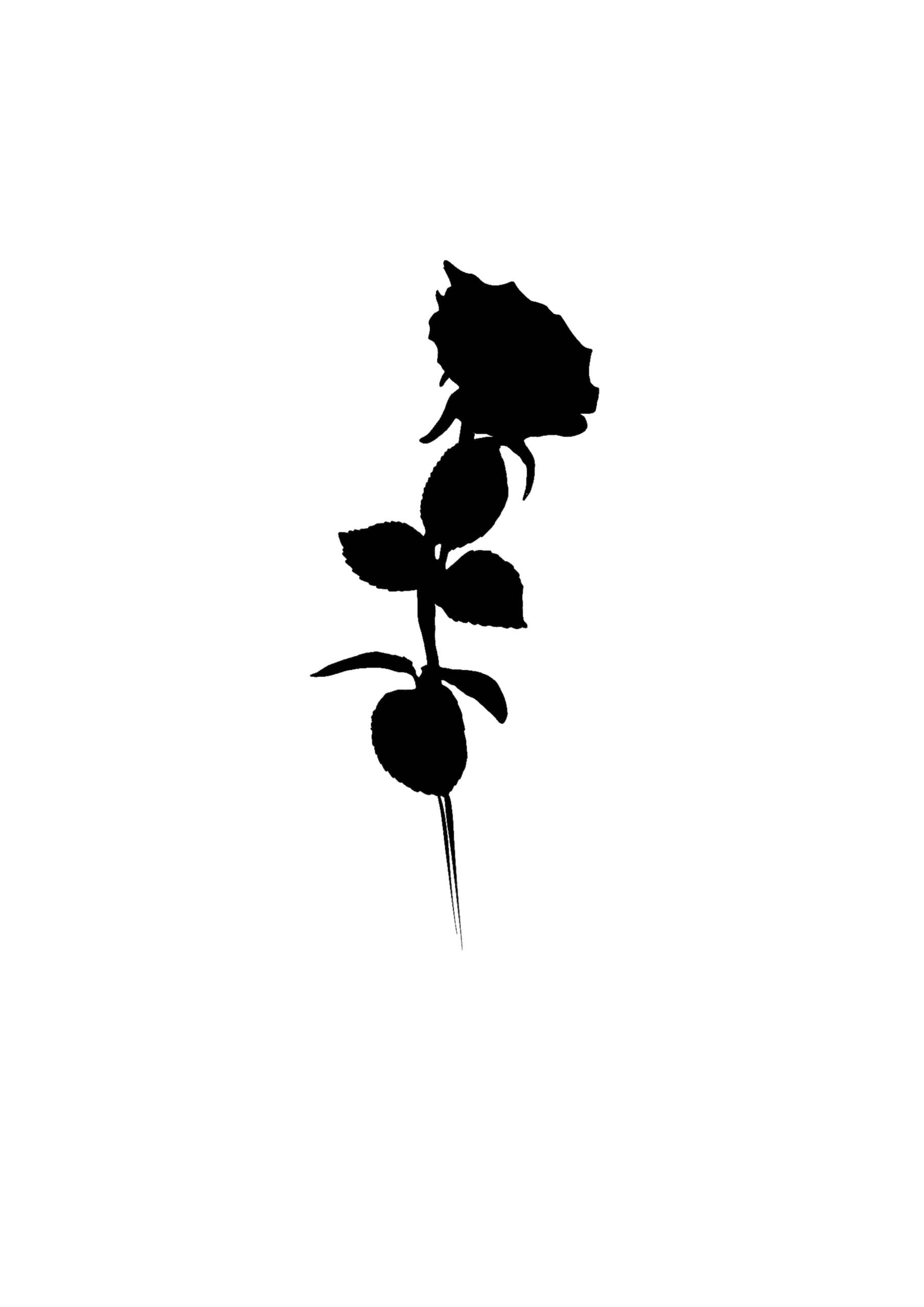 Tatouage flash floral à Villecresnes – dessin original Le Trait Noir