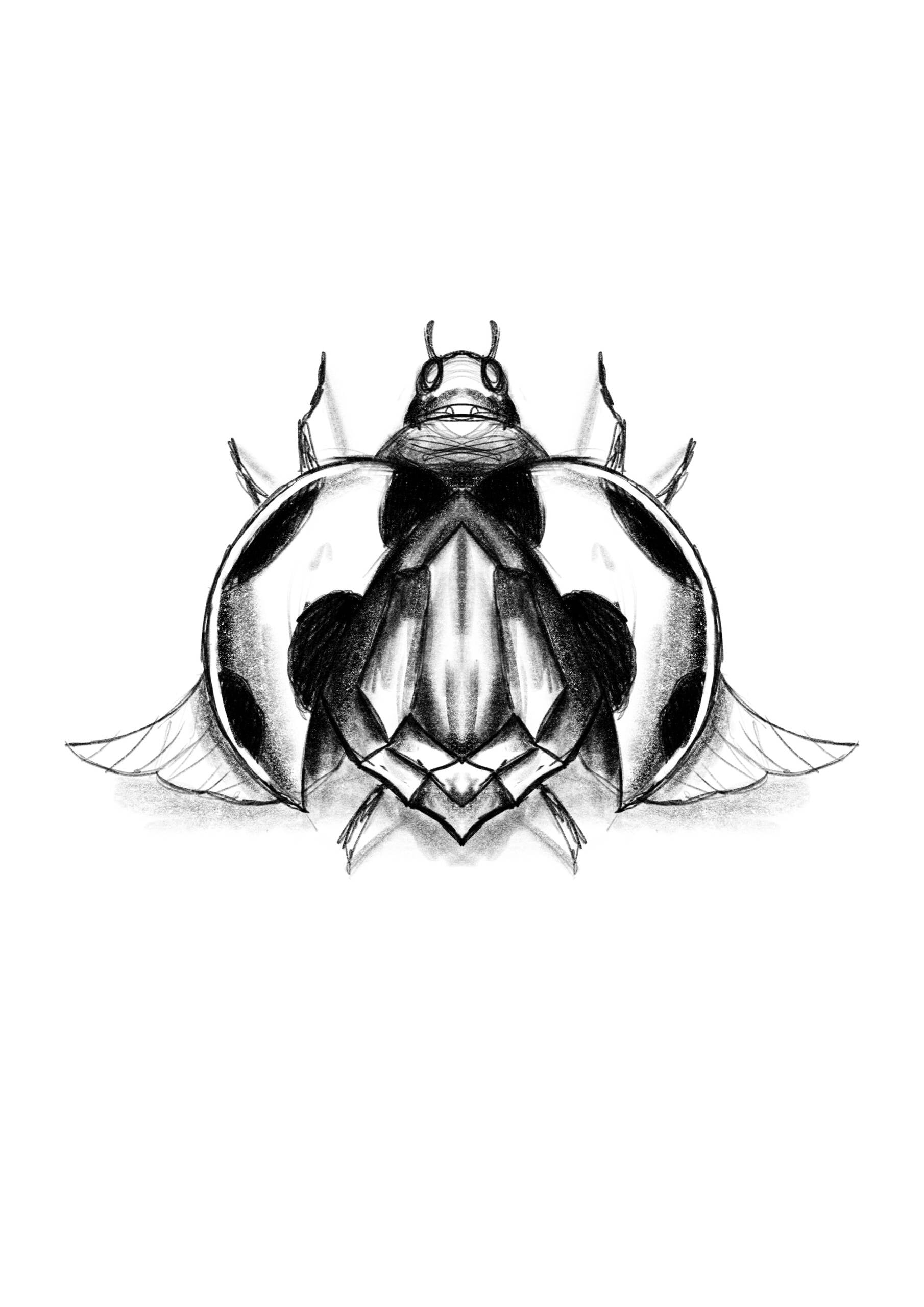 Tatouage flash insectes à Villecresnes – dessin original Le Trait Noir